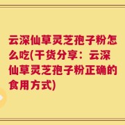 云深仙草灵芝孢子粉怎么吃(干货分享：云深仙草灵芝孢子粉正确的食用方式)