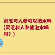 灵芝与人参可以泡水吗(灵芝和人参能泡水喝吗？)