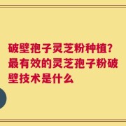 破壁孢子灵芝粉种植？最有效的灵芝孢子粉破壁技术是什么