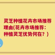 灵芝种植花卉市场推荐理由(花卉市场推荐：种植灵芝优势何在？)