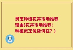 灵芝种植花卉市场推荐理由(花卉市场推荐：种植灵芝优势何在？)