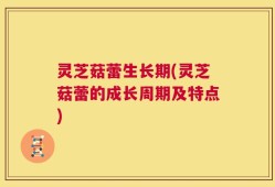 灵芝菇蕾生长期(灵芝菇蕾的成长周期及特点)