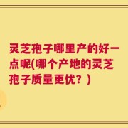 灵芝孢子哪里产的好一点呢(哪个产地的灵芝孢子质量更优？)