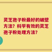 灵芝孢子粉最好的破壁方法？科学有效的灵芝孢子粉处理方法？