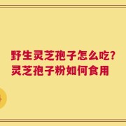野生灵芝孢子怎么吃？灵芝孢子粉如何食用