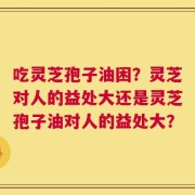 吃灵芝孢子油困？灵芝对人的益处大还是灵芝孢子油对人的益处大？