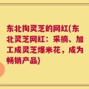 东北掏灵芝的网红(东北灵芝网红：采摘、加工成灵芝爆米花，成为畅销产品)