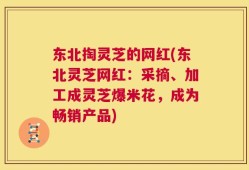 东北掏灵芝的网红(东北灵芝网红：采摘、加工成灵芝爆米花，成为畅销产品)