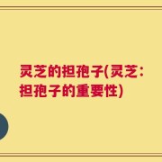 灵芝的担孢子(灵芝：担孢子的重要性)
