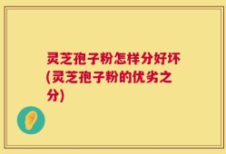 灵芝孢子粉怎样分好坏(灵芝孢子粉的优劣之分)
