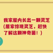 我家屋内长出一颗灵芝(居家惊现灵芝，赶快了解这颗神奇菌！)