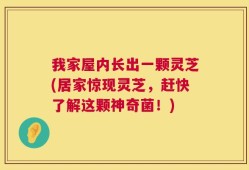 我家屋内长出一颗灵芝(居家惊现灵芝，赶快了解这颗神奇菌！)