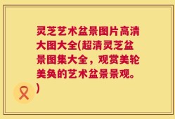 灵芝艺术盆景图片高清大图大全(超清灵芝盆景图集大全，观赏美轮美奂的艺术盆景景观。)