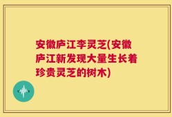安徽庐江李灵芝(安徽庐江新发现大量生长着珍贵灵芝的树木)