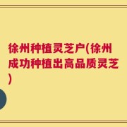 徐州种植灵芝户(徐州成功种植出高品质灵芝)
