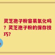灵芝孢子粉容易氧化吗？灵芝孢子粉的保存技巧？