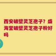 西安破壁灵芝孢子？盛海堂破壁灵芝孢子粉好吗