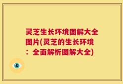 灵芝生长坏境图解大全图片(灵芝的生长环境：全面解析图解大全)