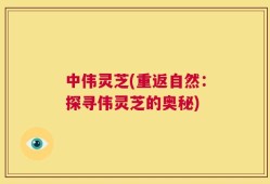 中伟灵芝(重返自然：探寻伟灵芝的奥秘)