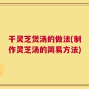 干灵芝煲汤的做法(制作灵芝汤的简易方法)