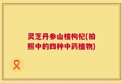 灵芝丹参山楂枸杞(拍照中的四种中药植物)