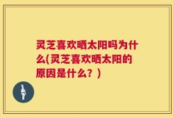 灵芝喜欢晒太阳吗为什么(灵芝喜欢晒太阳的原因是什么？)