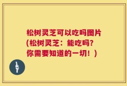 松树灵芝可以吃吗图片(松树灵芝：能吃吗？你需要知道的一切！)