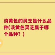 淡黄色的灵芝是什么品种(淡黄色灵芝属于哪个品种？)