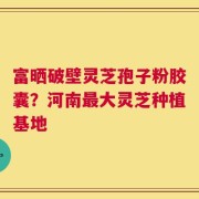 富晒破壁灵芝孢子粉胶囊？河南最大灵芝种植基地