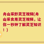 舟山采野灵芝视频(舟山采食用灵芝视频，让你一秒钟了解灵芝知识！)