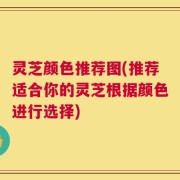灵芝颜色推荐图(推荐适合你的灵芝根据颜色进行选择)