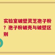 实验室破壁灵芝孢子粉？孢子粉破壳与破壁区别