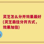 灵芝怎么分开效果最好(灵芝最佳分开方式，效果加倍)