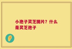 小孢子灵芝图片？什么是灵芝孢子