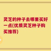 灵芝的种子去哪里买好一点(优质灵芝种子购买推荐)