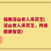 福鼎深山老人采灵芝(深山老人采灵芝，传递健康智慧)