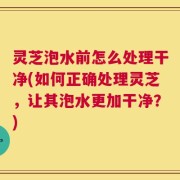 灵芝泡水前怎么处理干净(如何正确处理灵芝，让其泡水更加干净？)