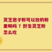 灵芝孢子粉可以放奶粉里喝吗 ？野生灵芝粉怎么吃