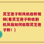 灵芝孢子粉风机收粉视频(看灵芝孢子粉收割机风箱如何收取灵芝孢子粉！)