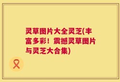 灵草图片大全灵芝(丰富多彩！震撼灵草图片与灵芝大合集)
