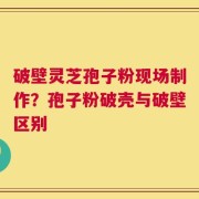 破壁灵芝孢子粉现场制作？孢子粉破壳与破壁区别