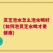 灵芝泡水怎么泡水喝好(如何泡灵芝水喝才更健康)