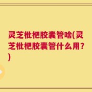 灵芝枇杷胶囊管啥(灵芝枇杷胶囊管什么用？)