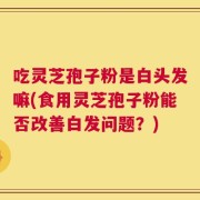 吃灵芝孢子粉是白头发嘛(食用灵芝孢子粉能否改善白发问题？)