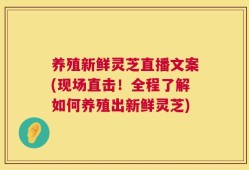 养殖新鲜灵芝直播文案(现场直击！全程了解如何养殖出新鲜灵芝)