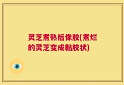 灵芝煮熟后像胶(煮烂的灵芝变成黏胶状)