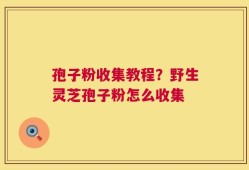 孢子粉收集教程？野生灵芝孢子粉怎么收集