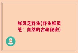 鲜灵芝野生(野生鲜灵芝：自然的古老秘密)