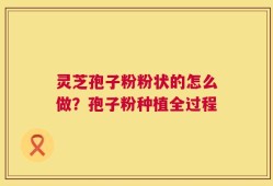 灵芝孢子粉粉状的怎么做？孢子粉种植全过程
