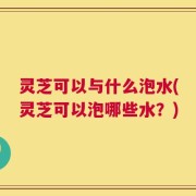 灵芝可以与什么泡水(灵芝可以泡哪些水？)